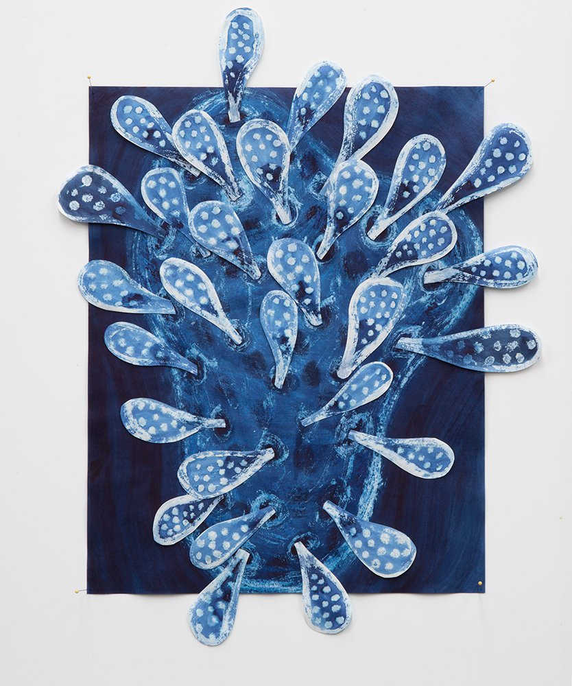 collage of plant done with indigo dye on paper