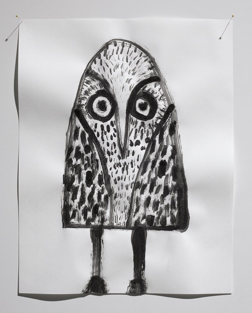 boobook owl drawing