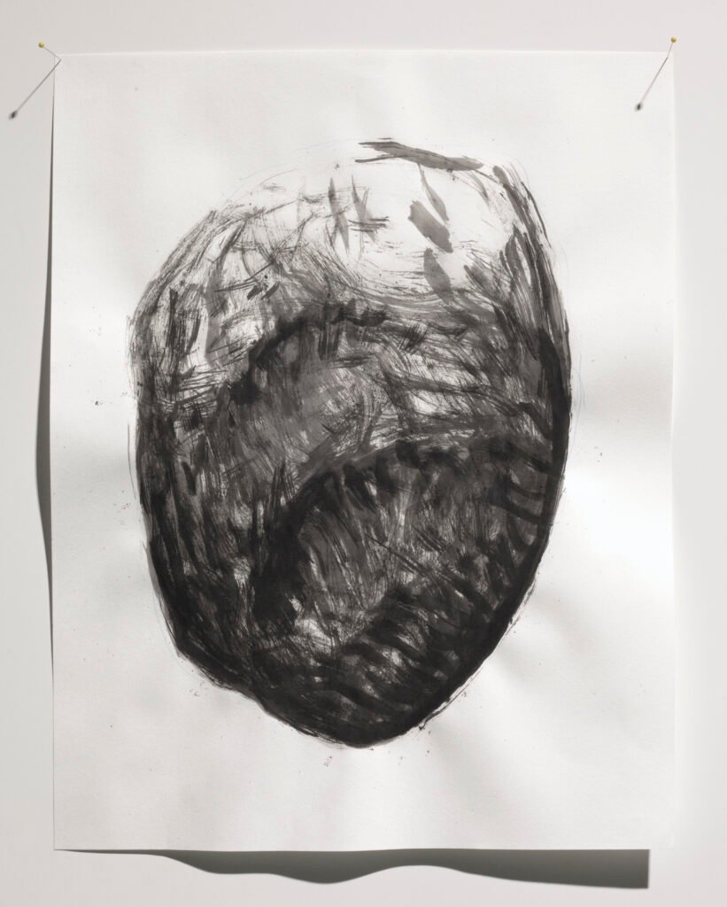 drawing of a rock by andrew stumpfel